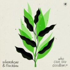 silvershore & Flachbau - who can say goodbye?