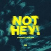 Yves Larock & Mark Ursa - Not Hey! (Extended Mix)