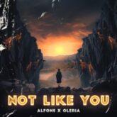 Alfons & Oleria - Not Like You