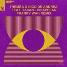 THEMBA (SA) & Nico de Andrea feat. Tasan - Disappear (Franky Wah Extended Remix)
