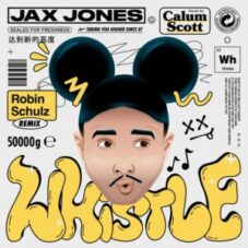 Jax Jones & Calum Scott - Whistle (Robin Schulz Remix)