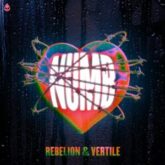 Rebelion & Vertile - Numb