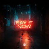 Grafix - Say It Now (feat. Lenn)