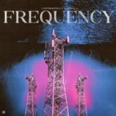 Castor & Pollux & Codex (SE) - Frequency