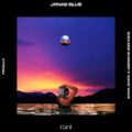 Jonas Blue feat. Rani - Finally (Endless Summer & Wave Wave Remix)