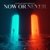 Földes & Martin Eriksson - Now or Never (Club Mix)