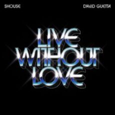 SHOUSE & David Guetta - Live Without Love (Extended Mix)