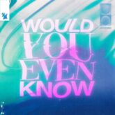 Audien & William Black - Would You Even Know (feat. Tia Tia)