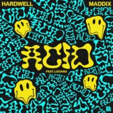Hardwell & Maddix feat. Luciana - ACID (Extended Mix)