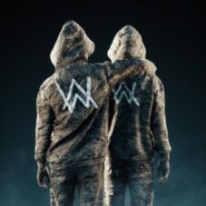 Alan Walker & Sasha Alex Sloan - Hero