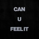 Swedish House Mafia - Can U Feel It (Kodat Remix)