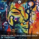 Orjan Nilsen, TLUXX & Brieanna Grace - In The Night