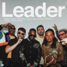 Dimitri Vegas & Like Mike, Sunnery James & Ryan Marciano x Azteck feat. Tinie Tempah - Leader (Extended Mix)