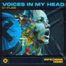 D-Fuse - Voices In My Head