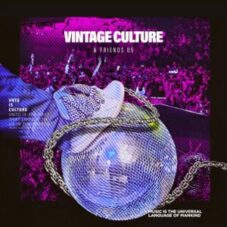 Vintage Culture - Vintage Culture & Friends, Vol. 5