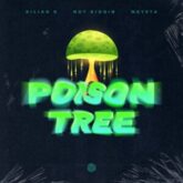Kilian K, Not Kiddin & MEYSTA - Poison Tree (Extended Mix)