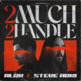 Alok & Steve Aoki - 2 Much 2 Handle (Extended Mix)