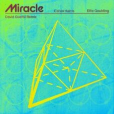 Calvin Harris & Ellie Goulding - Miracle (David Guetta Extended Remix)