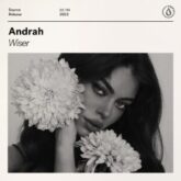 Andrah - Wiser (Extended Mix)