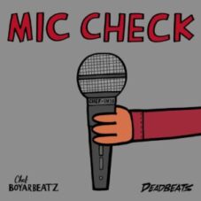 Chef Boyarbeatz - Mic Check