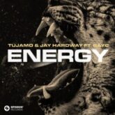 Tujamo x Jay Hardway - Energy (feat. Bay-C)