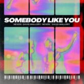 Nexeri & Davis Mallory - Somebody Like You