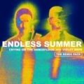 Sam Feldt & Jonas Blue, Endless Summer & Violet Days - Crying On The Dancefloor (Dzeko Remix)