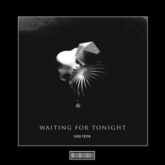 Luca Testa - Waiting for Tonight (Hardstyle Remix)
