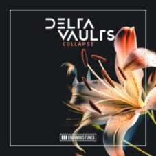 Delta Vaults - Collapse (Extended Mix)