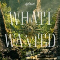 Jauz - What I Wanted