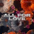 Felix Jaehn - All For Love (feat. Sandro Cavazza)