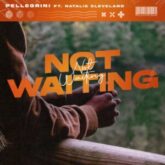 Pellegrini feat. Natalie Cleveland - Not Waiting (Extended Mix)