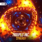 TRIIIPL3 INC. - Synergy