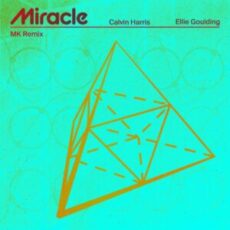 Calvin Harris & Ellie Goulding - Miracle (MK Remix)