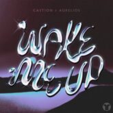 Castion & Aurelios - Wake Me Up (Extended Mix)