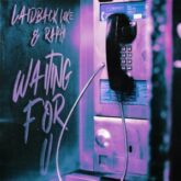 Laidback Luke & Raphi - Waiting For U