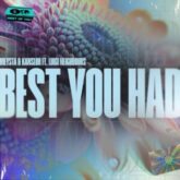 MEYSTA & Kanslor feat. Luigi Neighbours - Best You Had (Extended Mix)