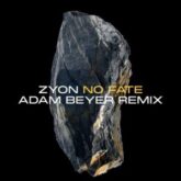 Zyon - No Fate (Adam Beyer Remix)