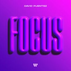 David Puentez - Focus