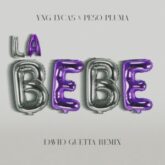 Yng Lvcas & Peso Pluma - La Bebe (David Guetta Extended Remix)