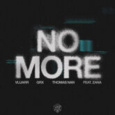 Vluarr, GRX (Martin Garrix), Thomas Nan - No More (feat. ZANA)