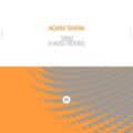 Adam Shaw - 1999 (Hass Remix)