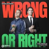 Bassjackers - Wrong or Right (The Riddle) [Remix EP]