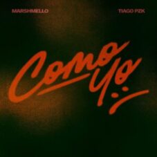 Marshmello & Tiago PZK - Como Yo :(