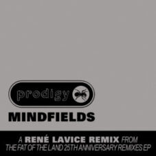 The Prodigy - Mindfields (René LaVice Remix)