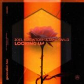 Joel Macintosh & Jameswild - Looking Up (Extended Mix)