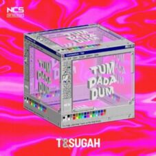 T & Sugah - TumDaDaDum