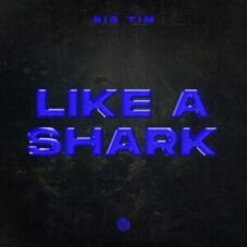 BIG TIM - Like A Shark (Extended Mix)