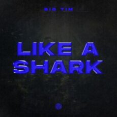 BIG TIM - Like A Shark (Extended Mix)