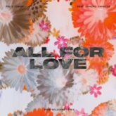 Felix Jaehn & Sandro Cavazza - All For Love (Mike Williams Remix)